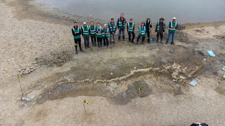 Encuentran el fósil de un dragón marino de 10 metros de largo