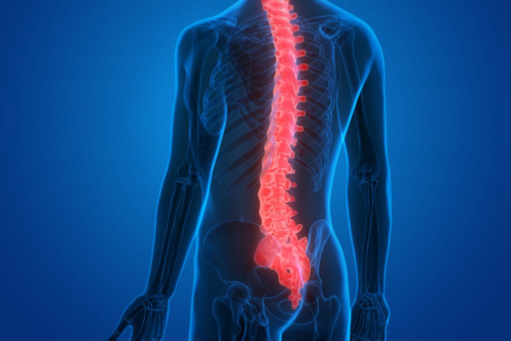 Japón prueba primer tratamiento de lesiones de médula espinal con células iPS