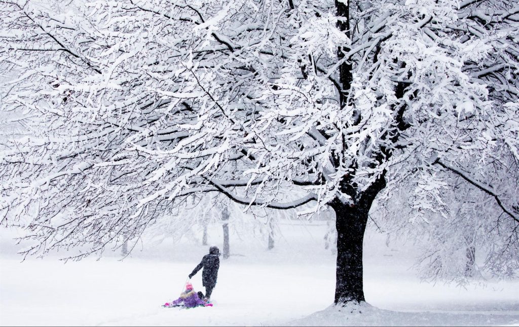 Una fuerte tormenta de nieve paralizó Washington durante horas
