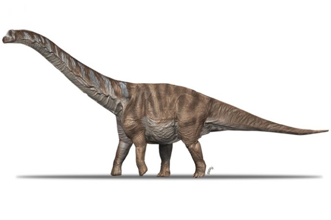 Descubren una nueva especie de dinosaurio que vivió en el Pirineo