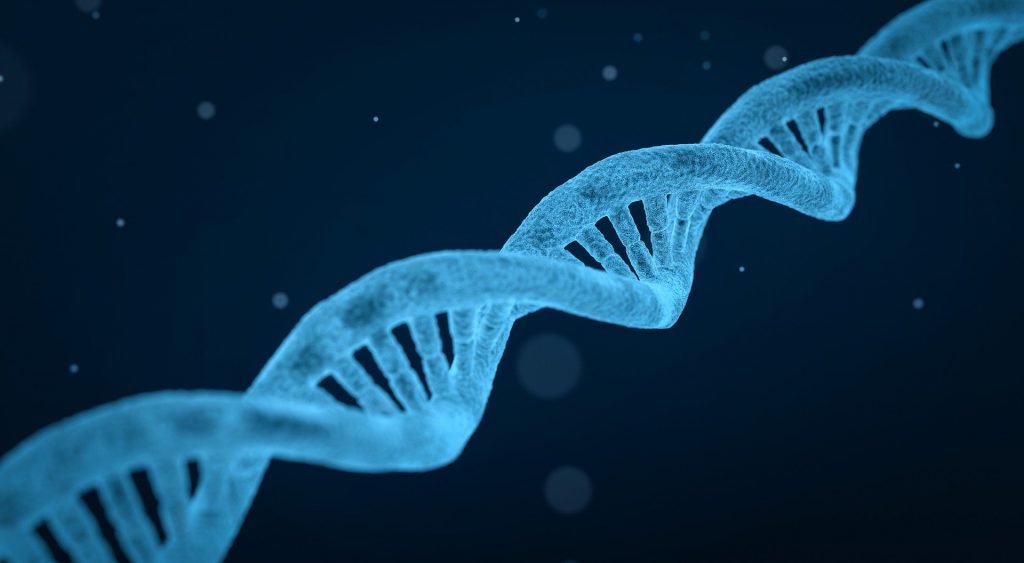 Identifican un gen que causa la leucemia linfocítica crónica sin mutar
