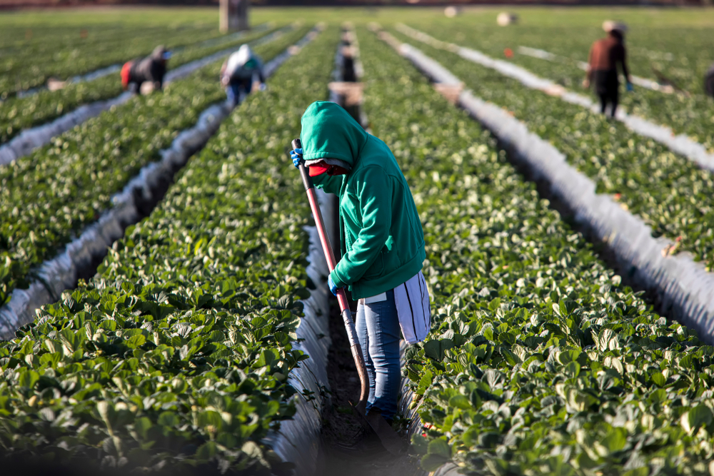 Alcalde de Apopka confirma que trabajadores de hotel en Maitland son inmigrantes legales