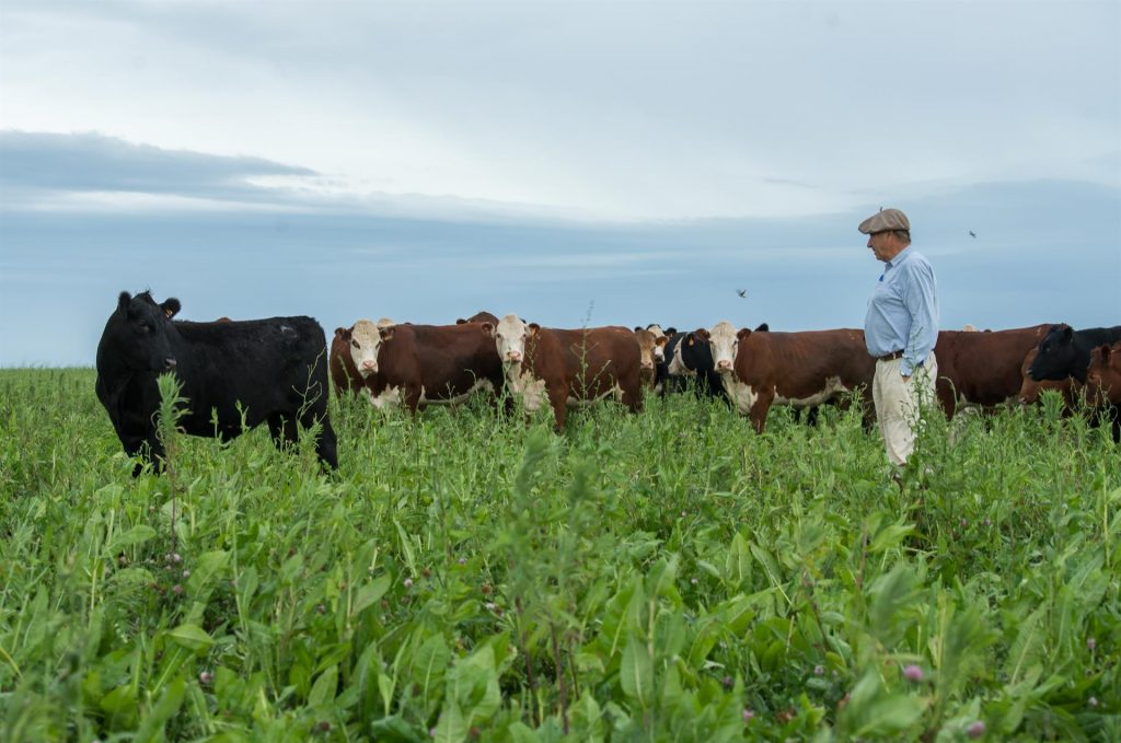 Bill Gates ya sabe cómo se produce la carne uruguaya