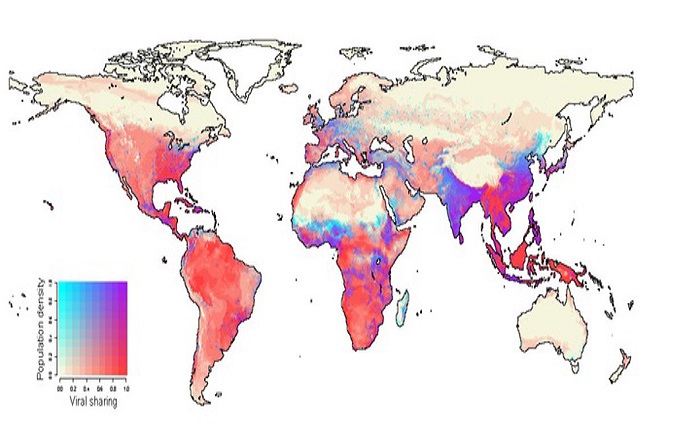 El cambio climático aumentará el salto de virus de animales a personas