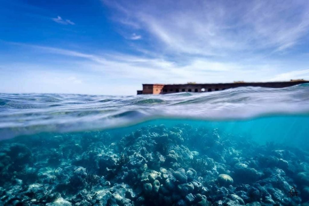 Muere una mujer de 74 años que hacía snorkel en los Cayos de Florida