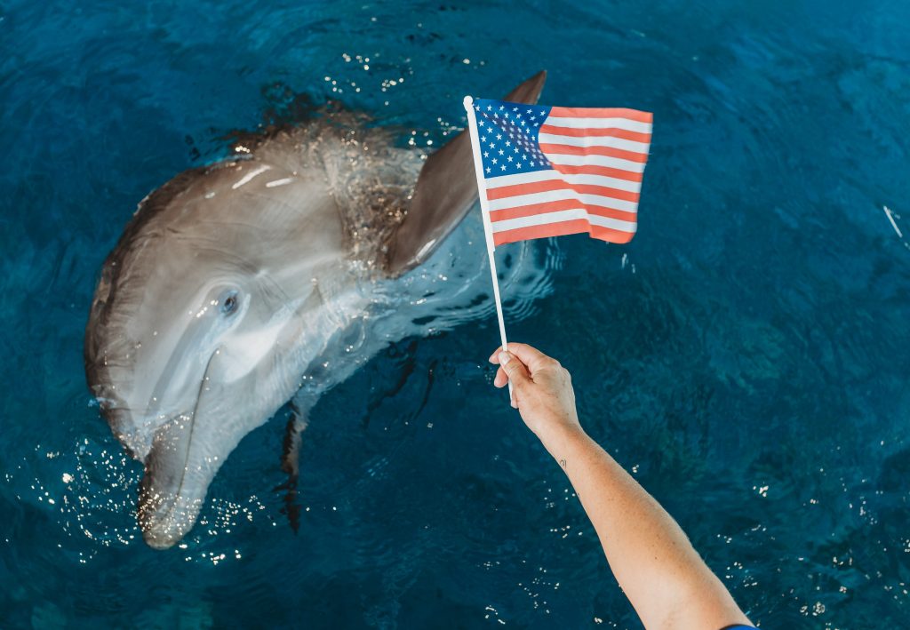 Florida celebra el Memorial Day con la llegada de millones de turistas