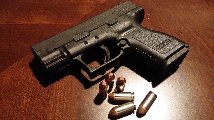 Cámara Baja de EEUU vota a favor de confiscar armas a personas peligrosas
