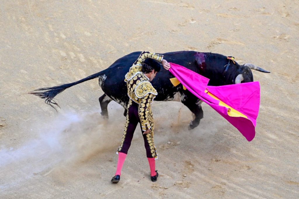 El Supremo de México anula decreto que consideraba como patrimonio cultural a las corridas de toros y peleas de gallos