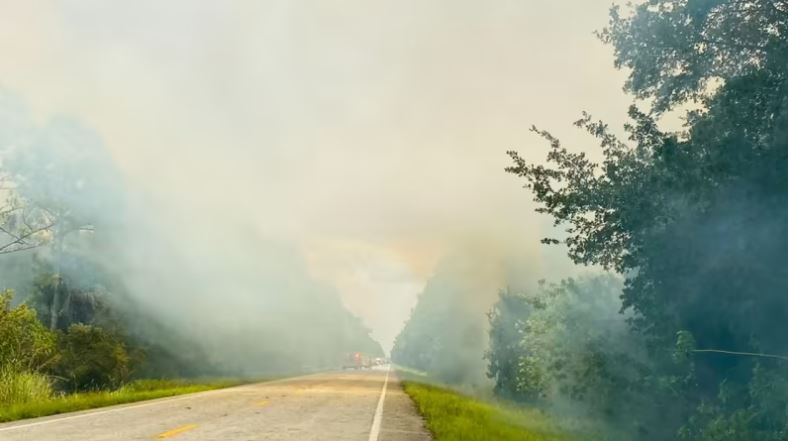 Incendio forestal en el condado de Volusia obliga a cerrar la SR-46