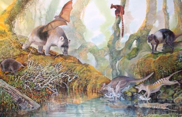 El canguro gigante Nombe Nombe proviene de Papúa Nueva Guinea