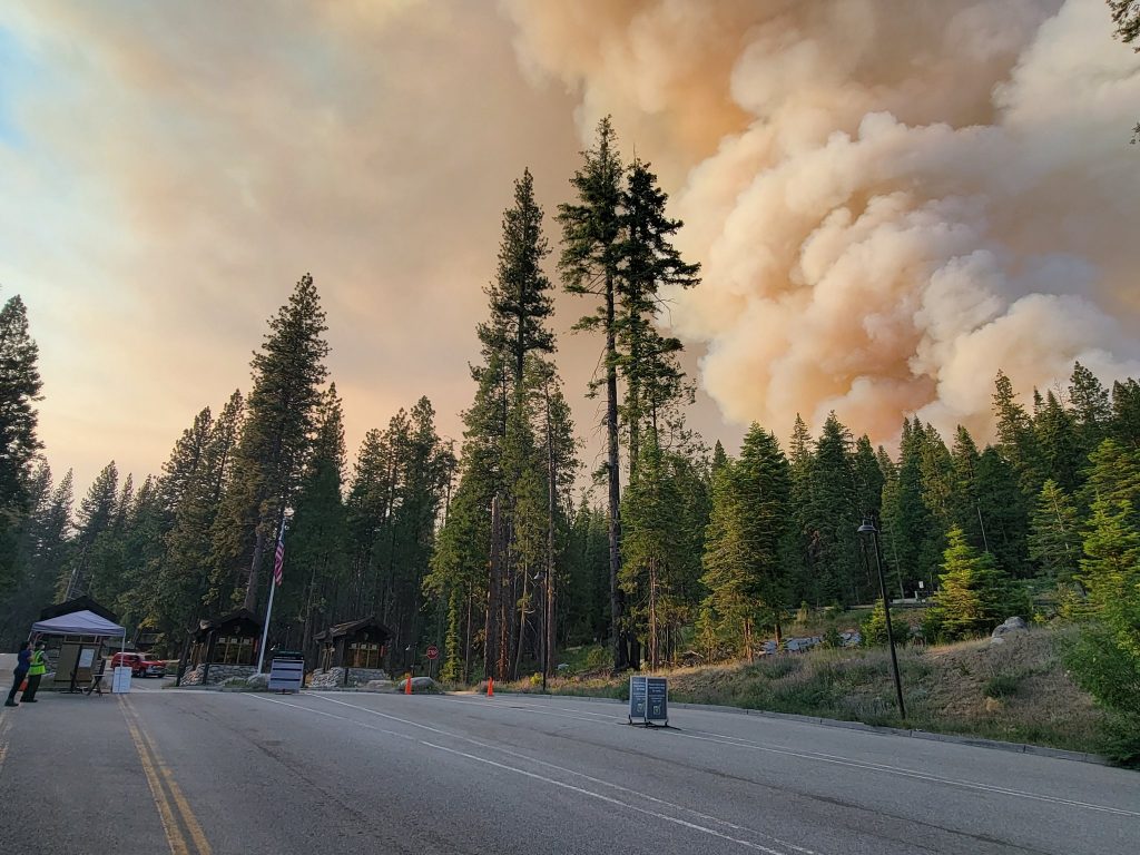 (+Videos) Incendio en Yosemite se extiende por más de 1.700 hectáreas y amenaza a cientos de secuoyas gigantes