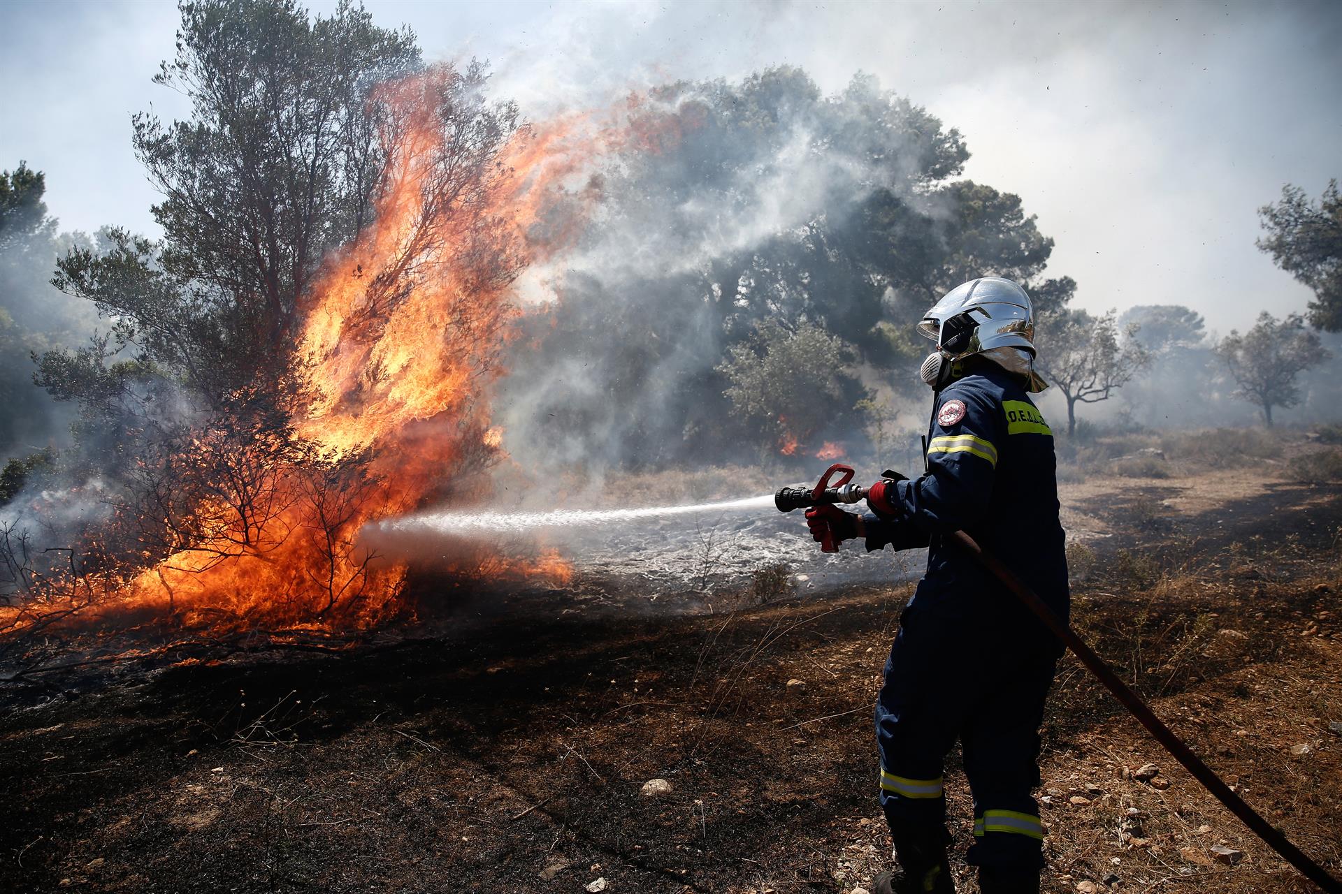 Los tres grandes incendios cerca de Atenas están controlados