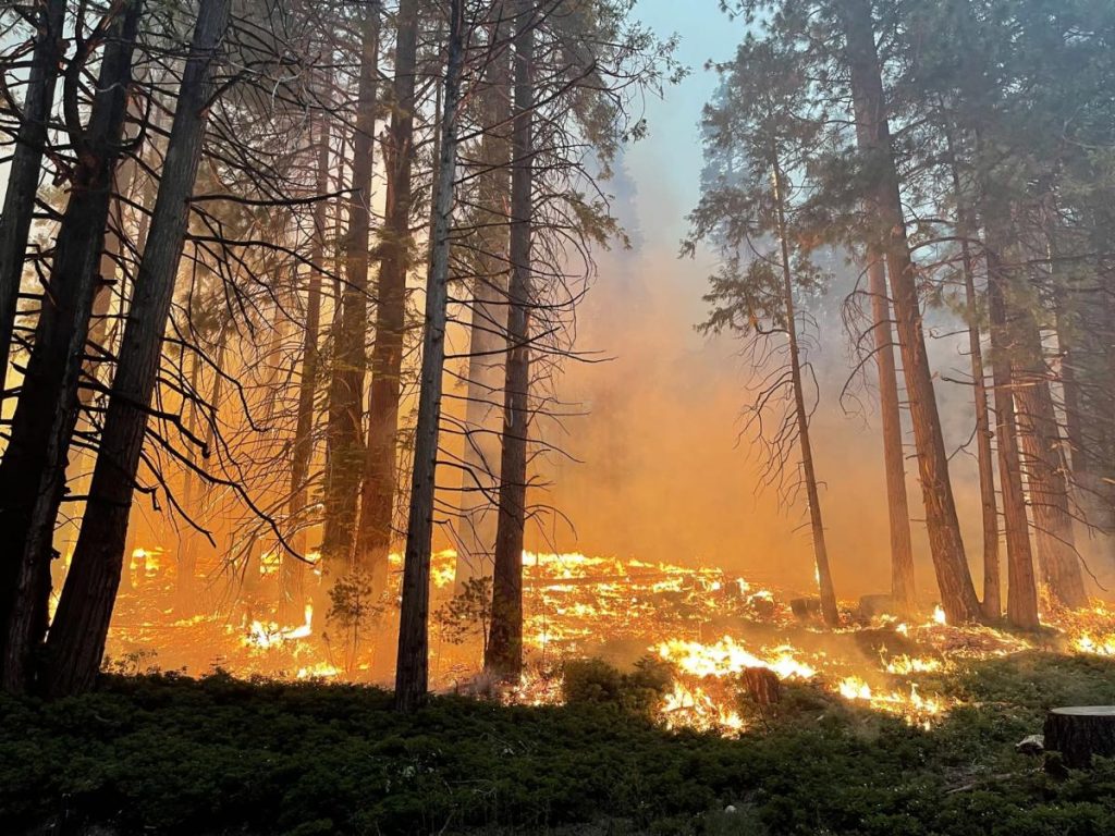 El incendio que amenaza el parque de Yosemite tuvo un origen "humano"