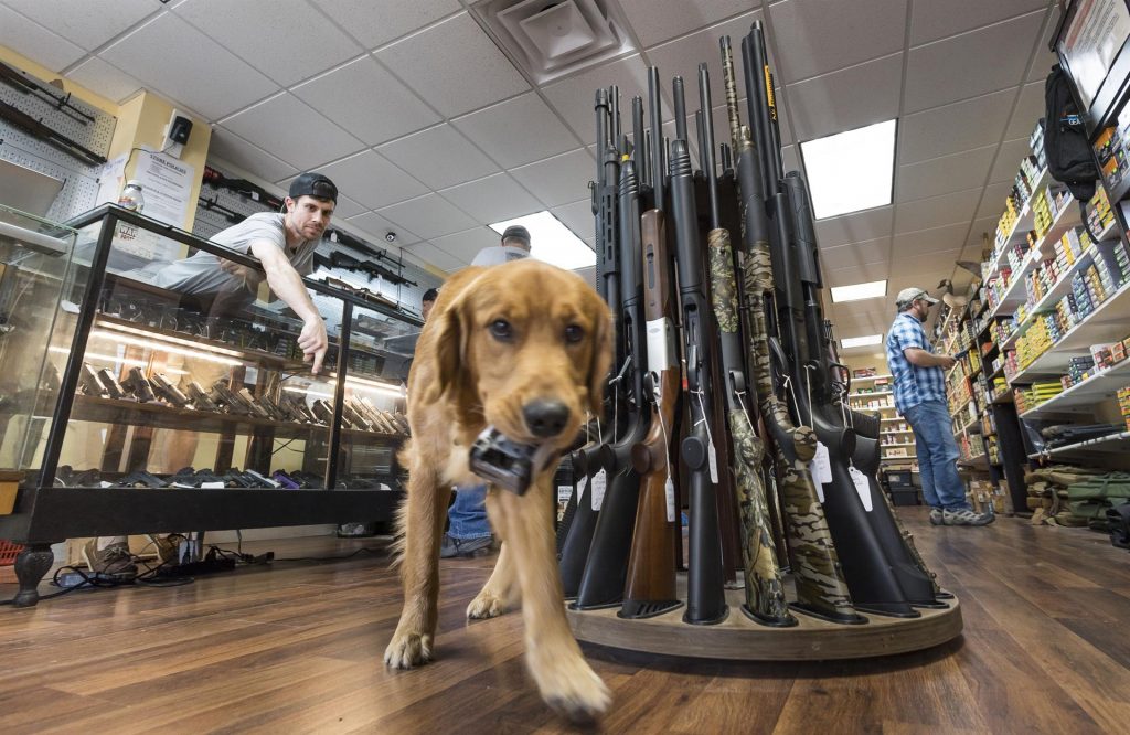 Revisarán las redes sociales de los compradores antes de otorgar licencia de armas en Nueva York