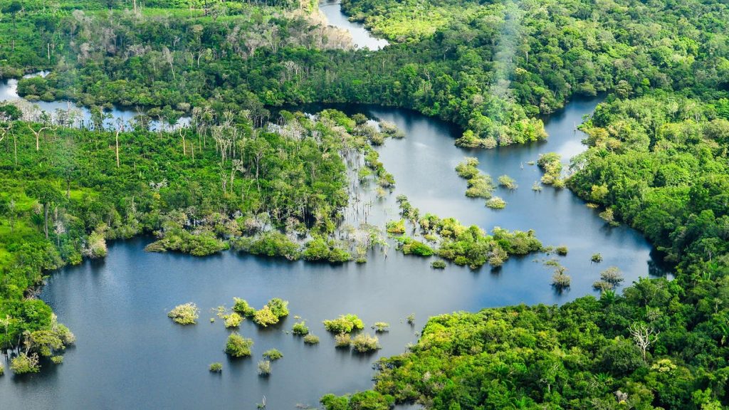 Asesinan a un líder indigenista en Amazonas, Venezuela
