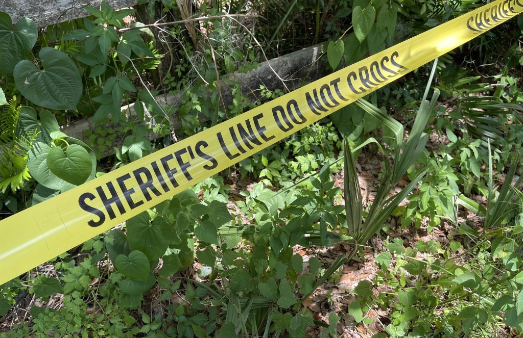 2 muertos dejó el accidente de una avioneta en zona boscosa de Florida