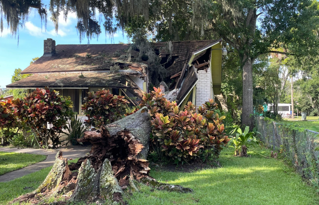 Una mujer de 89 años quedó atrapada luego de que un árbol aplastara su casa en Daytona Beach