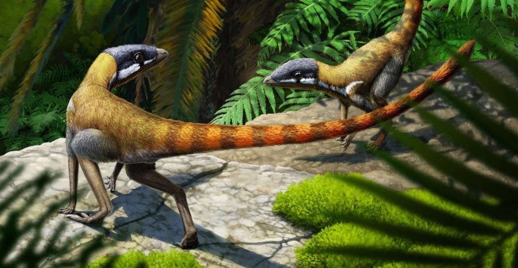 Un reptil fósil del Triásico resulta ser ancestro de los pterosaurios