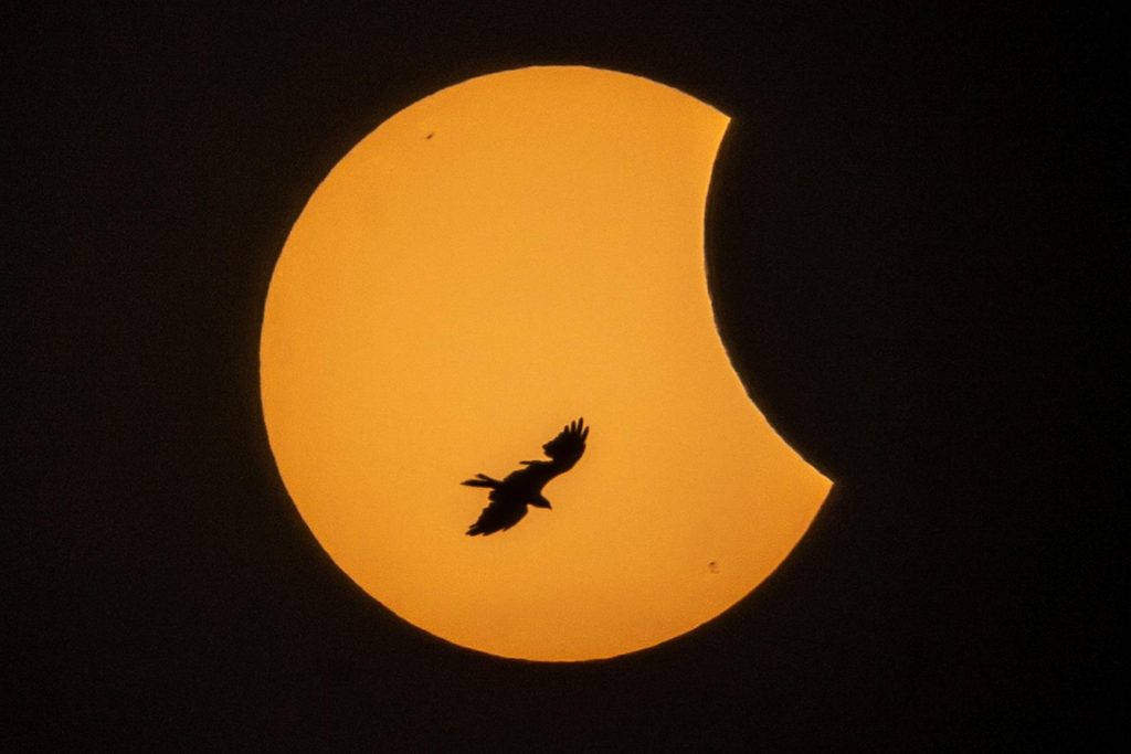 Así se vio el eclipse de Sol en Europa, noreste de África y Asia