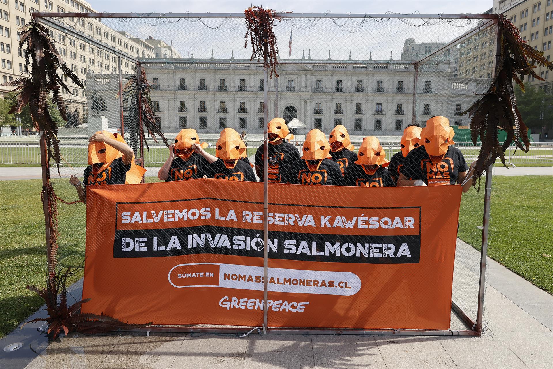 Activistas de Greenpeace se enjaulan contra las salmoneras en el sur de Chile