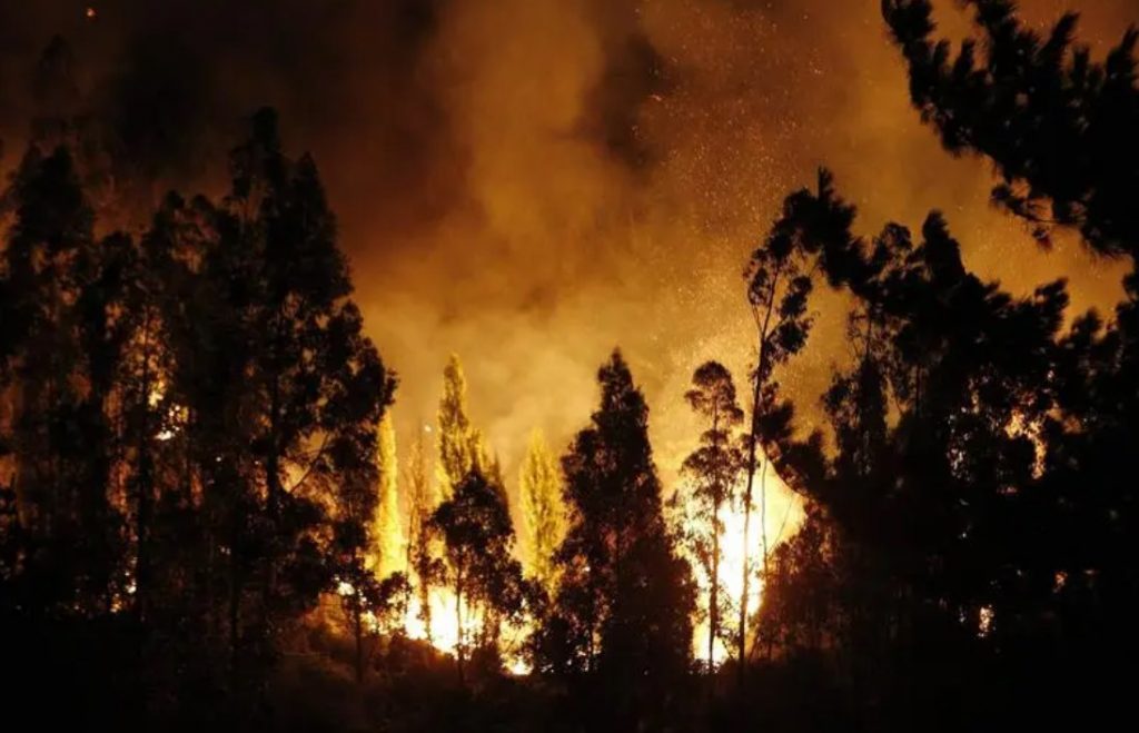Incendio afecta sitio arqueológico y destruye 570 hectáreas de campo en Perú