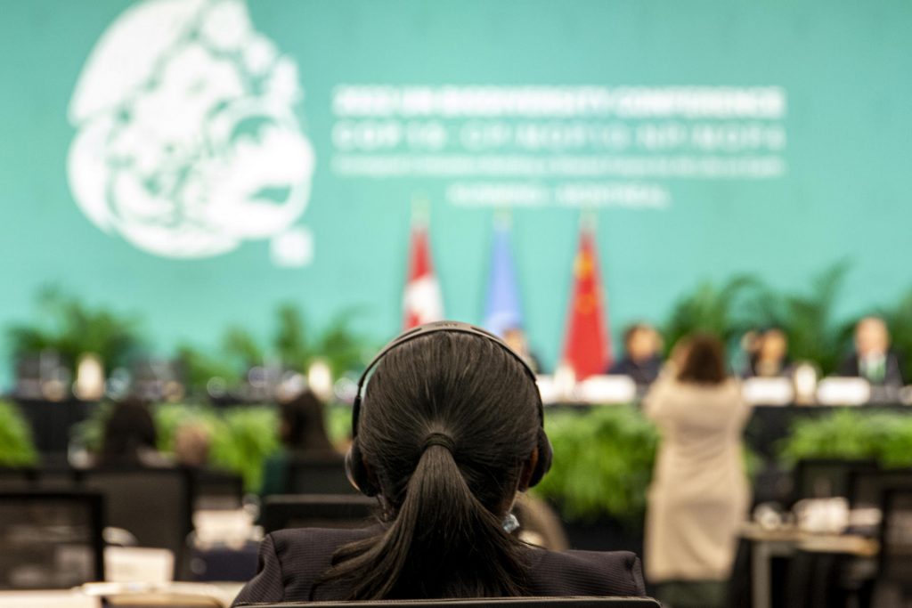 Al menos el 30 % del planeta debe protegerse para conservar la biodiversidad, acordó la COP15