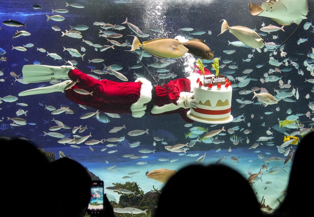 Santa Claus ya está viajando en su trineo entregando regalos
