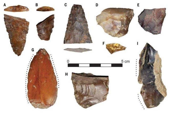 Descubren en Idaho puntas de proyectil de hace 15.700 años