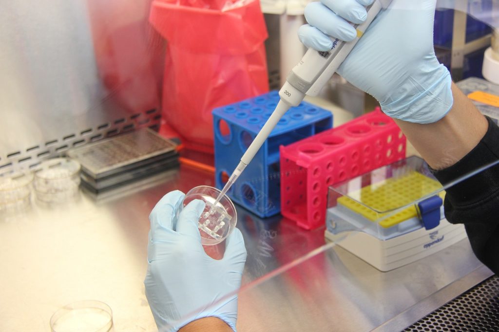 El microbioma intestinal en el centro del origen del Parkinson, según un estudio