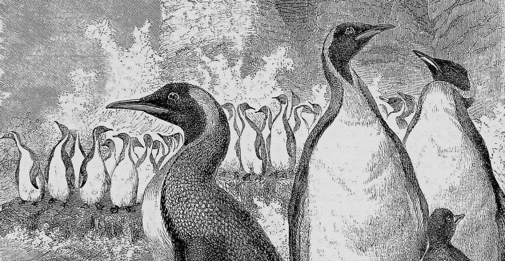 Científicos describen al pingüino más grande que ha existido nunca