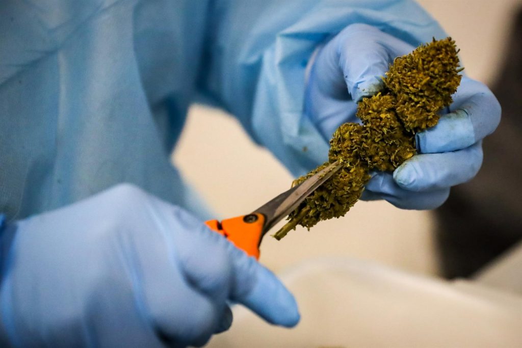 Autoridades hacen millonario decomiso de productos en tiendas ilegales de cannabis en Nueva York
