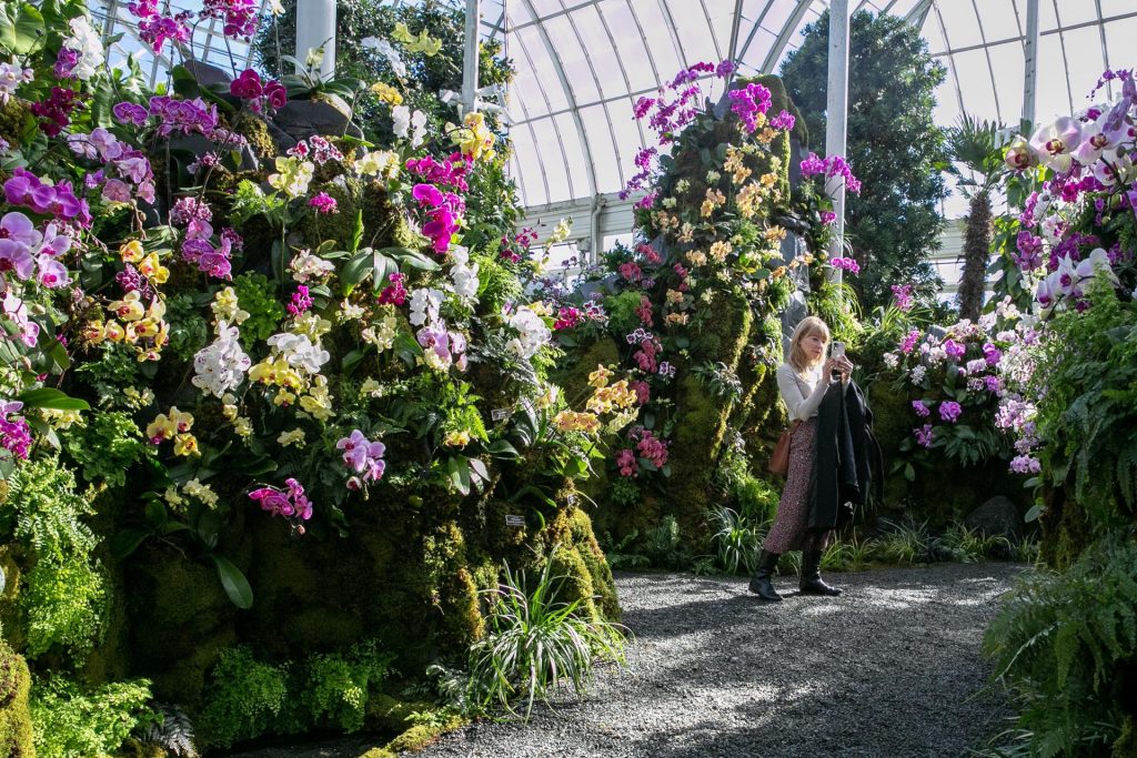 Los paisajes tradicionales chinos recreados con miles de orquídeas en Nueva York