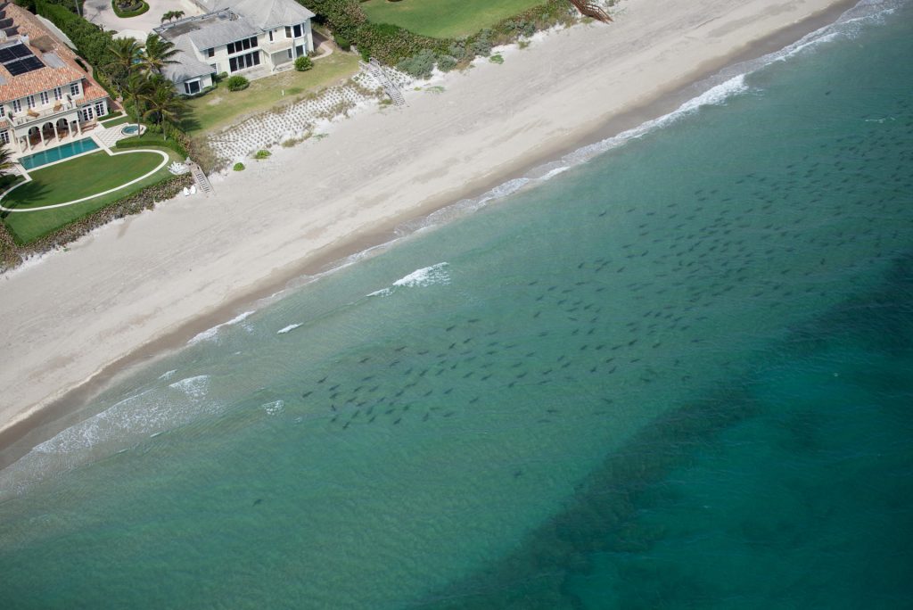 Aunque aumentó un 73 %, el turismo internacional en Florida no ha alcanzado el nivel prepandemia