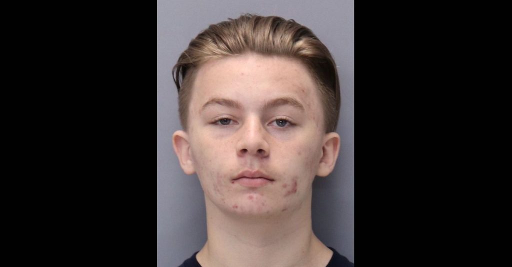 Cadena perpetua para adolescente de Florida que mató a puñaladas a una menor