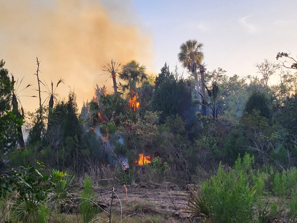 Condado de Osceola levanta la prohibición de incendios al aire libre