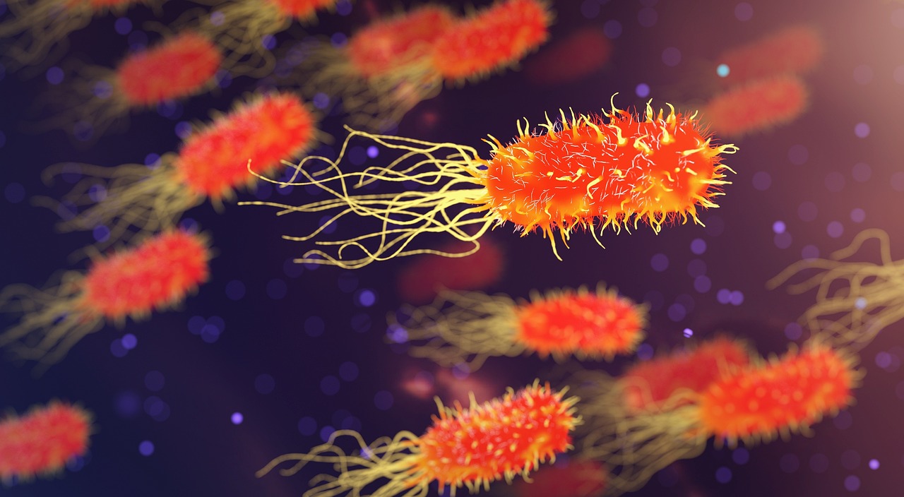 Científicos identifican preferencias ambientales de los microbios con el aprendizaje automático