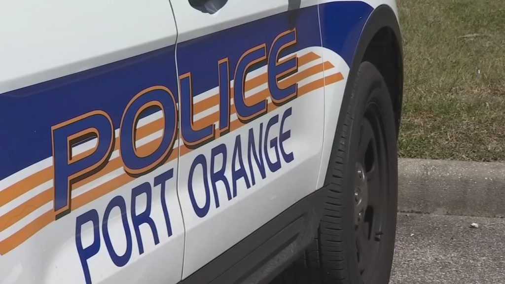 Policía de Port Orange busca a un conductor que dejó a unos gatitos a un lado de la carretera antes de que murieran