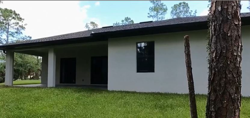 Una pantera acechó afuera de la casa de una mujer en el suroeste de Florida
