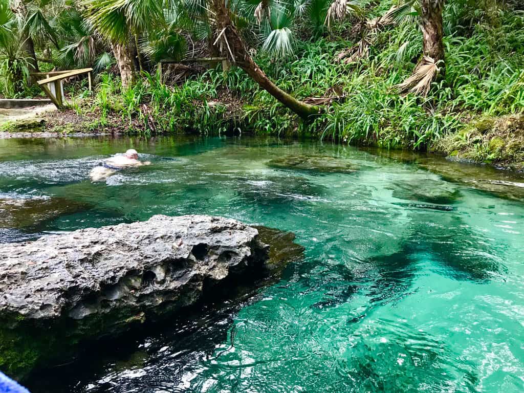 Rock Springs cerrará por varios días debido a la presencia de caimanes