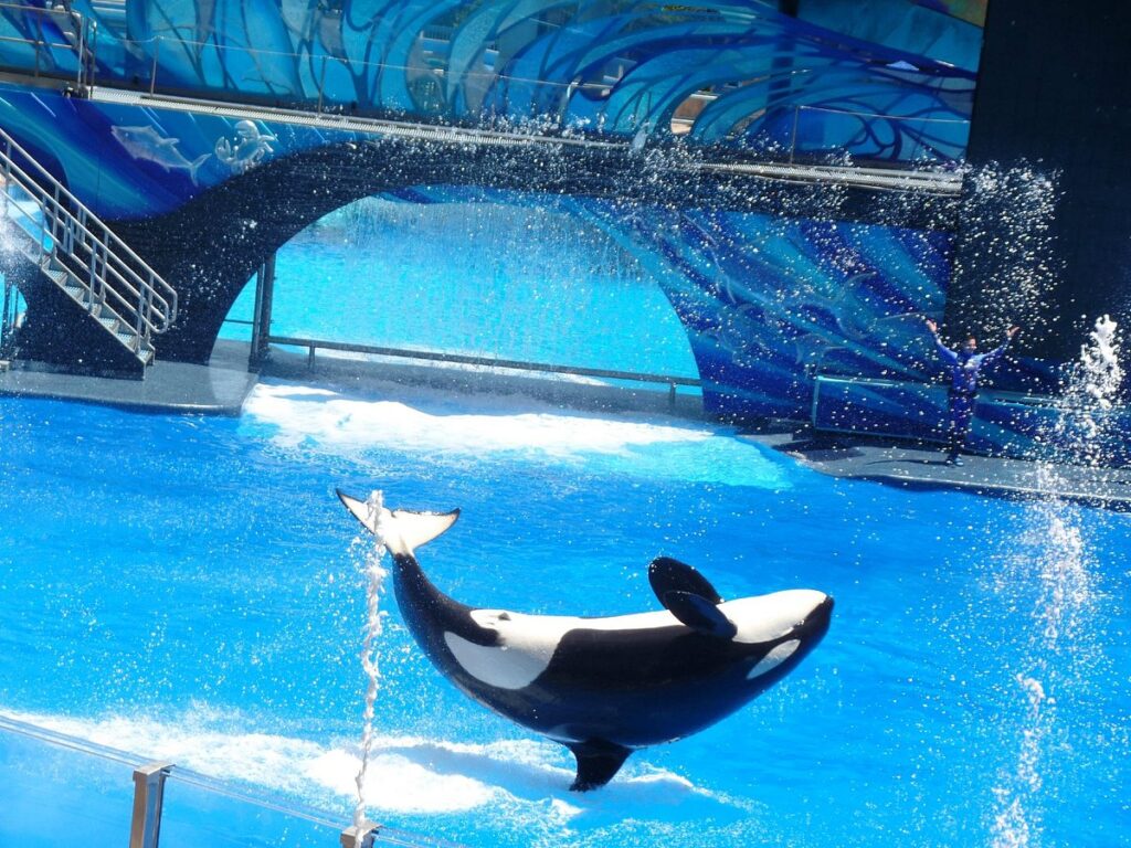 SeaWorld Orlando escondió ataque a una entrenadora