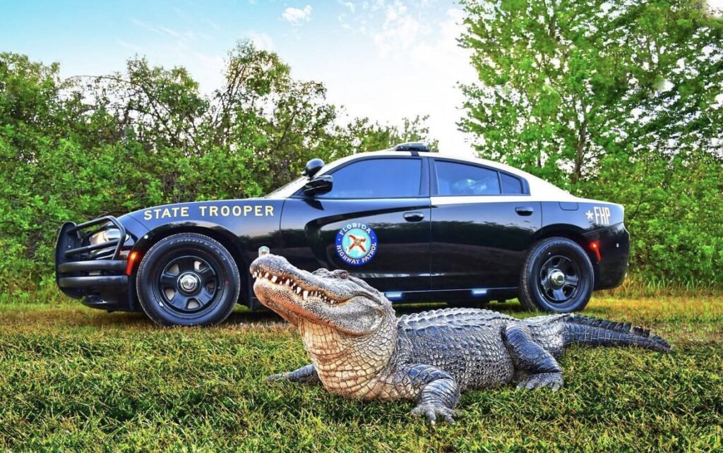 Orlando y Tampa, entre las ciudades de Florida con los mejores conductores de EEUU