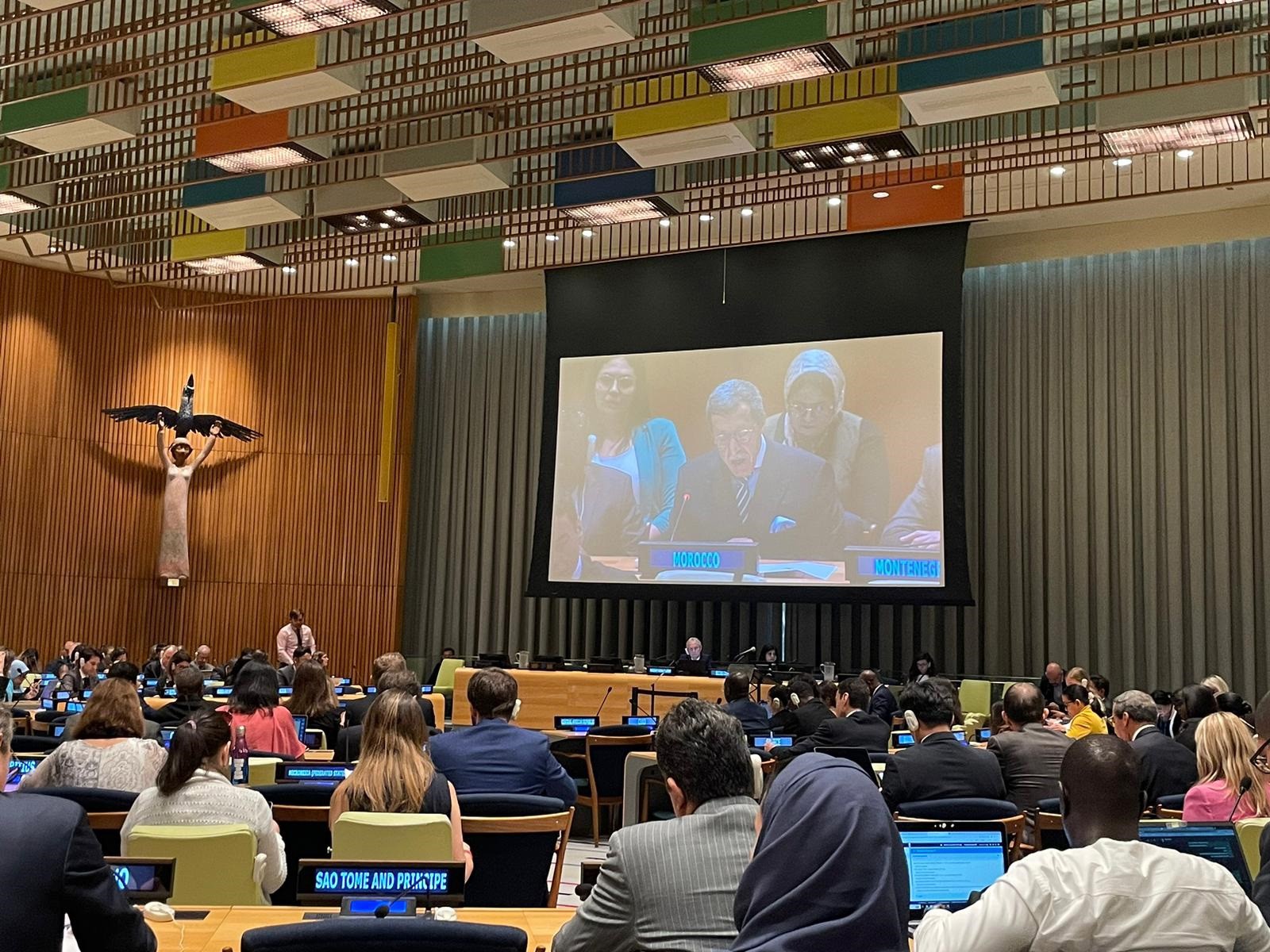 Resolución de la ONU condena la violencia contra los textos sagrados