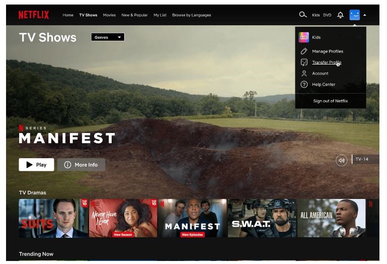 Netflix facilita la transferencia de perfiles a otras cuentas existentes