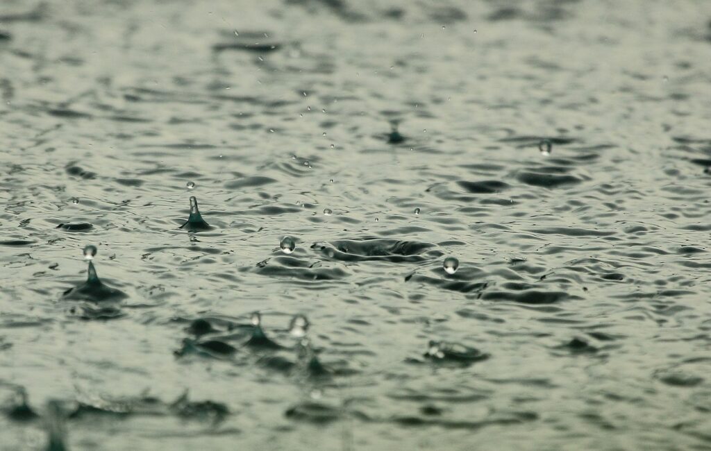 Florida se ubica entre los estados con más lluvias de EEUU