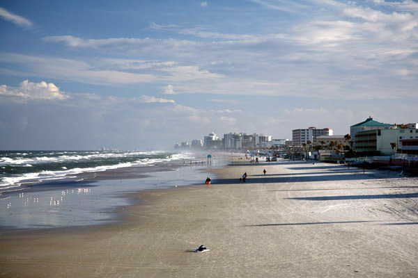 Aprueban plan piloto para permitir perros en una playa de Volusia