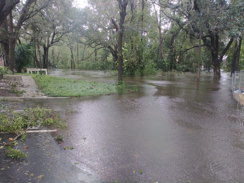 Condado de Seminole inició remoción de escombros a gran escala en el río Little Wekiva