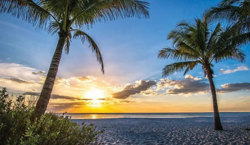 Continúan altas temperaturas en Florida
