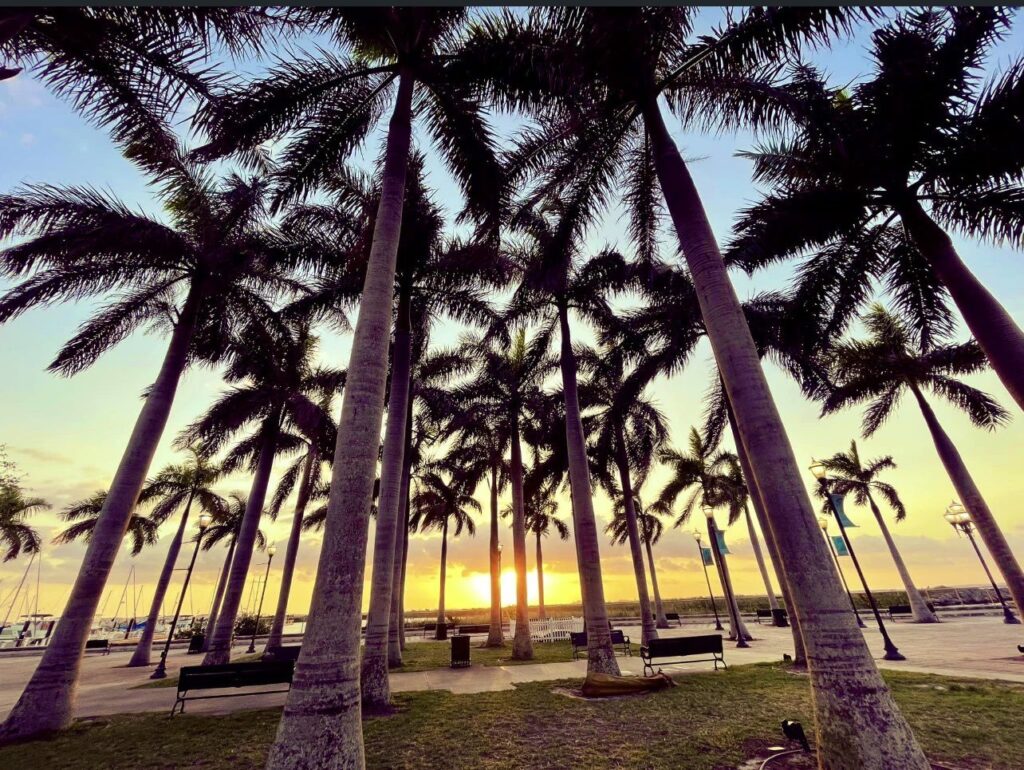 Pronostican tormentas severas para este jueves en Florida Central