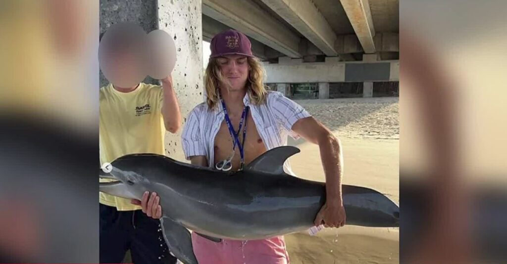 Delfín bebé habría muerto después de que un hombre lo tomara para subir una foto a Instagram