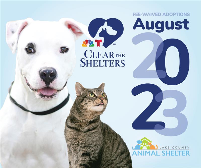 El refugio de animales del condado de Lake se asoció con NBCUniversal para la campaña de adopción Clear the Shelters